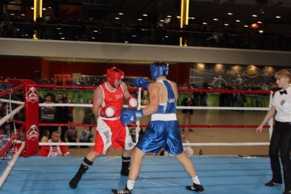 Луцькі боксери здобули перемогу над поляками. ФОТО