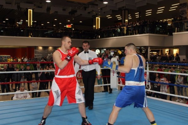 Луцькі боксери здобули перемогу над поляками. ФОТО