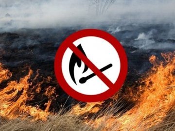 «У такий час – це просто злочин»: у Луцьку продовжують палити траву