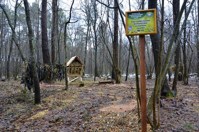 Як у волинському нацпарку підгодовують диких мешканців лісу. ФОТО