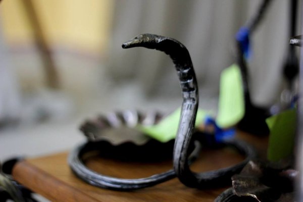 У Ковелі - благодійна виставка-продаж кованих виробів для бійців АТО. ФОТО