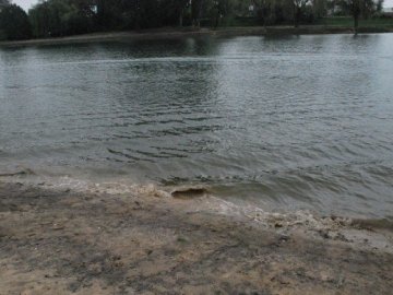 На «чистоту» узбереж луцьких водойм виділили понад 30 тисяч