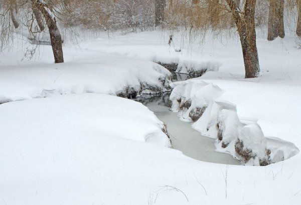 Снігопад у Луцьку. ФОТО