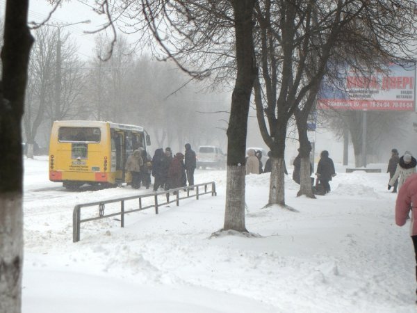 Снігопад у Луцьку. ФОТО