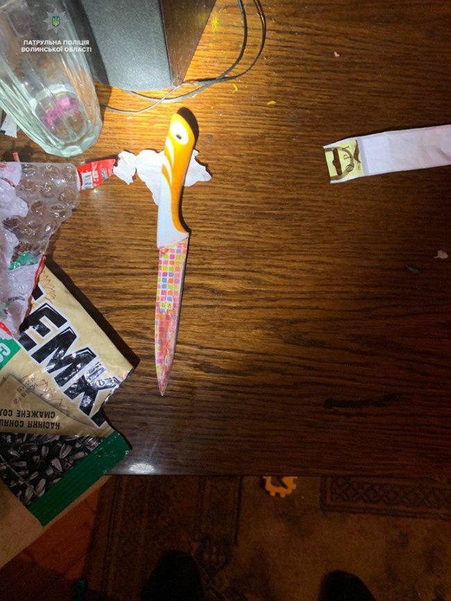 Вбила собаку ножем і різала себе: у Луцьку від самогубства врятували неадекватну дівчину. ФОТО. ВІДЕО. ОНОВЛЕНО