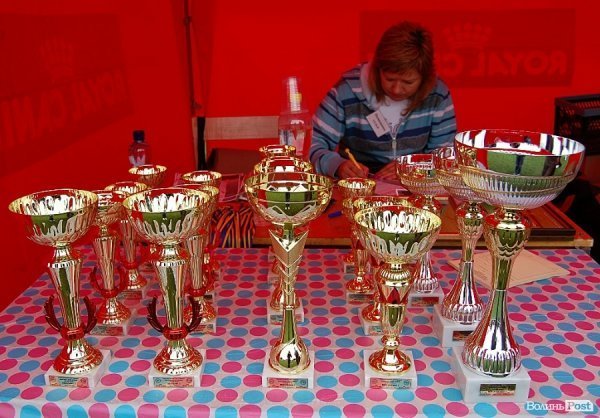 У Луцьку влаштували собаче свято. ФОТО