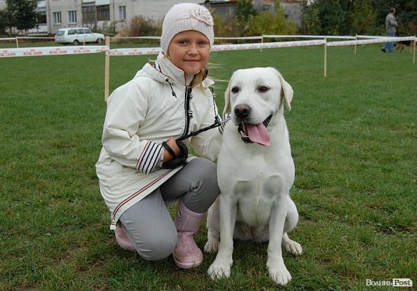 У Луцьку влаштували собаче свято. ФОТО