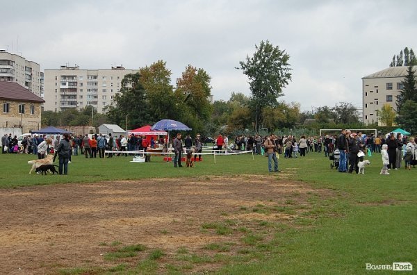 У Луцьку влаштували собаче свято. ФОТО