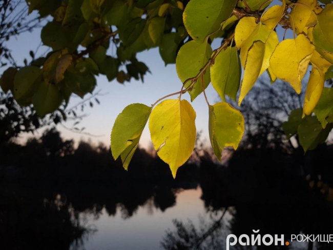 Місто на Волині восени: жовто-багряна краса. ФОТО