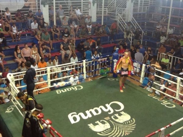 Спортивний Луцьк: тайський бокс. ФОТО. ВІДЕО