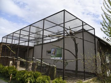 У луцькому зоопарку побудували вольєр за кошти від продажу квитків. ФОТО