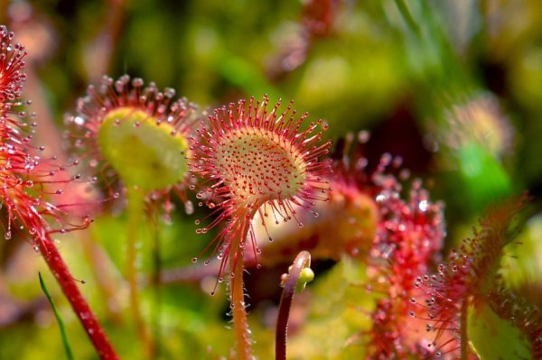 Фотовиставка Олега Гордіюка