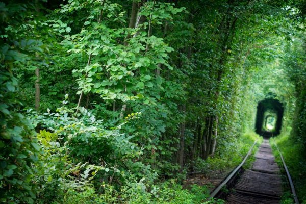 Фотовиставка Олега Гордіюка