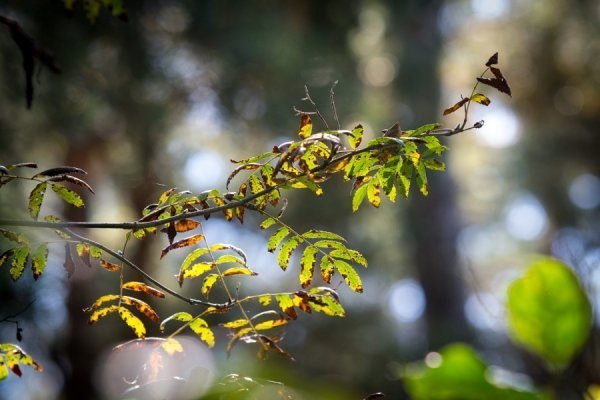 Фотовиставка Олега Гордіюка