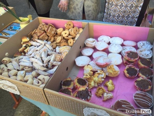 У Луцькому дитячому садочку №7 стартувала естафета «Долонька-милосердя». ФОТО