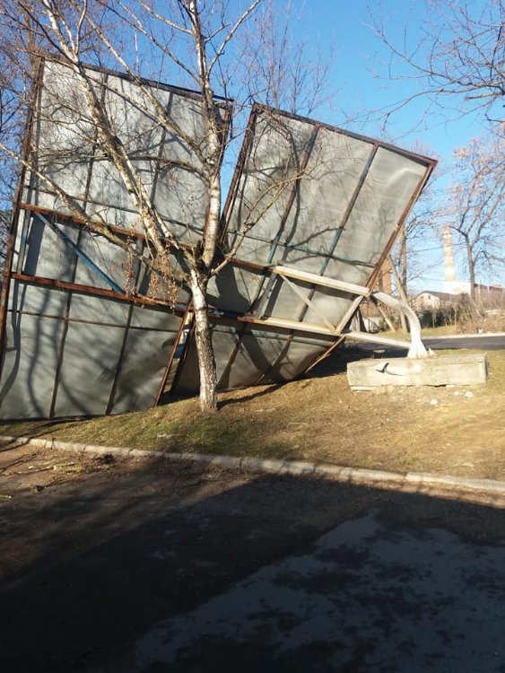 Повалені дерева і розтрощені авто: в Україні вирує ураганний вітер. ФОТО