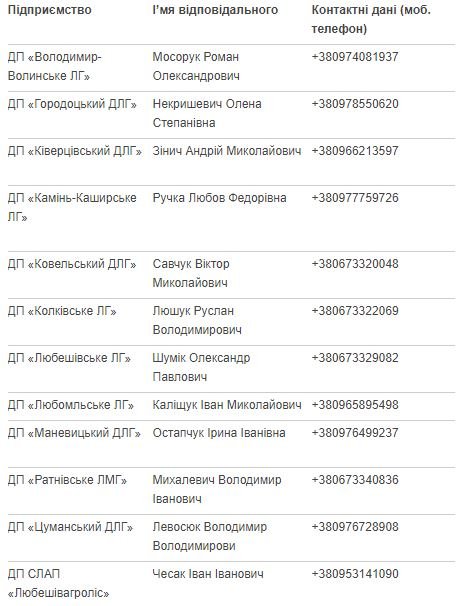 Куди волинянам подіти ялинку чи сосну після свят