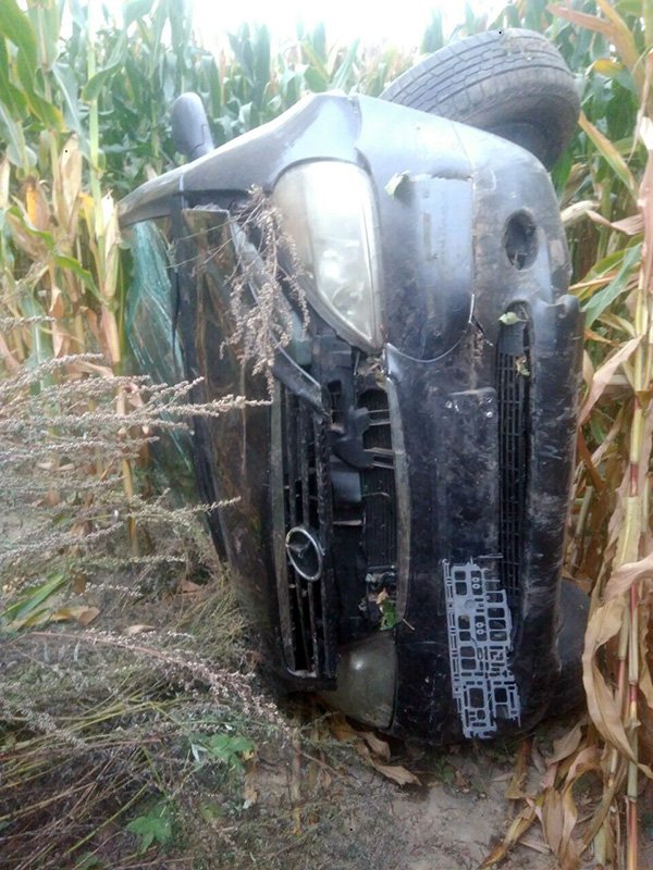 На Волині водій на «євроблясі» перекинувся у поле з кукурудзою. ФОТО