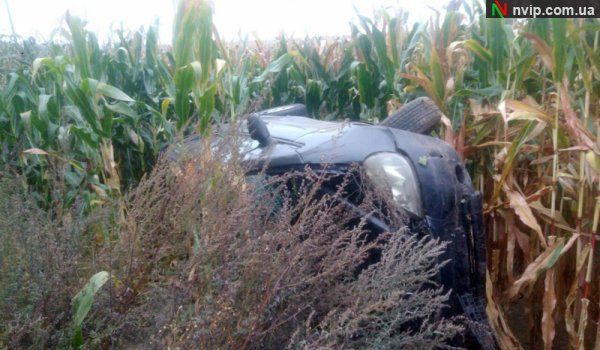На Волині водій на «євроблясі» перекинувся у поле з кукурудзою. ФОТО