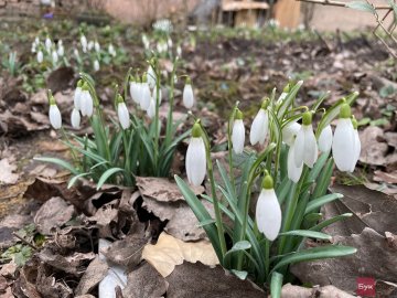 Погода у Луцьку на завтра, 18 березня