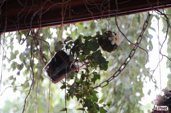 Володимир-Волинський напередодні свого свята. ФОТОРЕПОРТАЖ