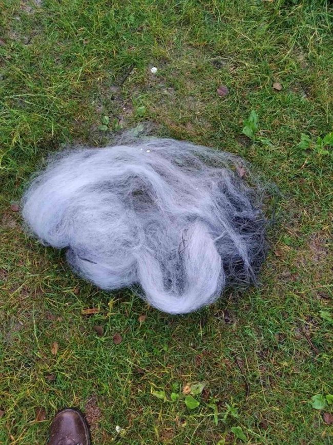 На Волині небайдужі рибалки здали браконьєра, який ловив рибу сіткою з човна. ФОТО