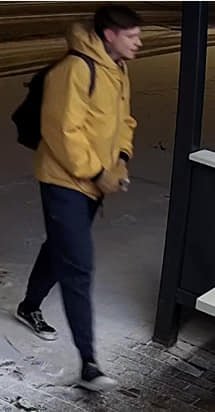 У Луцьку «засвітили» обличчя вандалів, що розмалювали «розумну» зупинку: просять упізнати. ФОТО