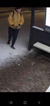 У Луцьку «засвітили» обличчя вандалів, що розмалювали «розумну» зупинку: просять упізнати. ФОТО