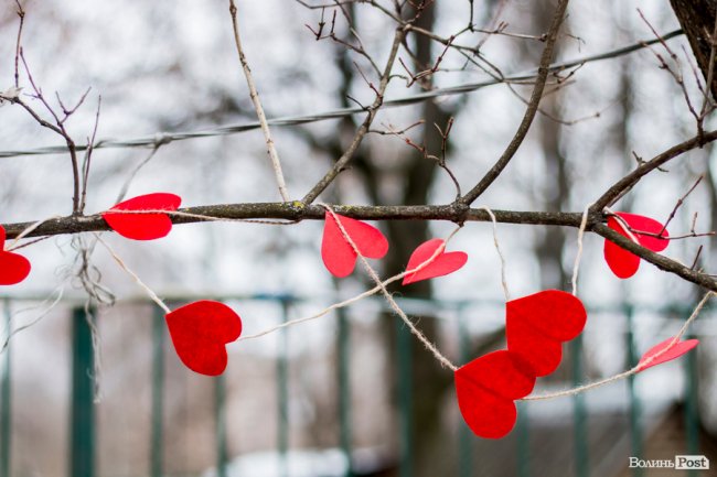 Пухнасті любощі, або Закохані парочки Луцького зоопарку. ФОТО