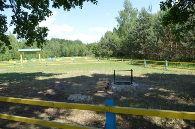 Сотні бджолосімей та тонни меду: про традиції лісників Волині