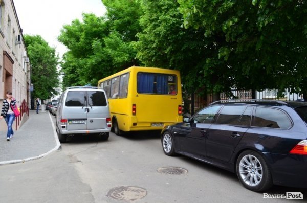 Антифашистська акція Партії регіонів у Луцьку. ФОТО
