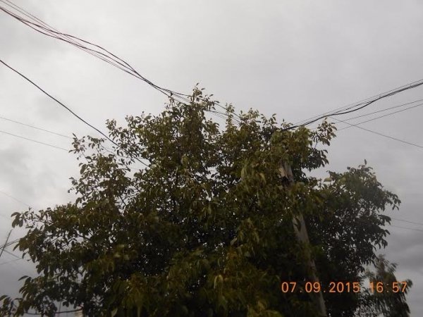 Жителі однієї з вулиць Нововолинська залишились без світла і електроприладів. ФОТО