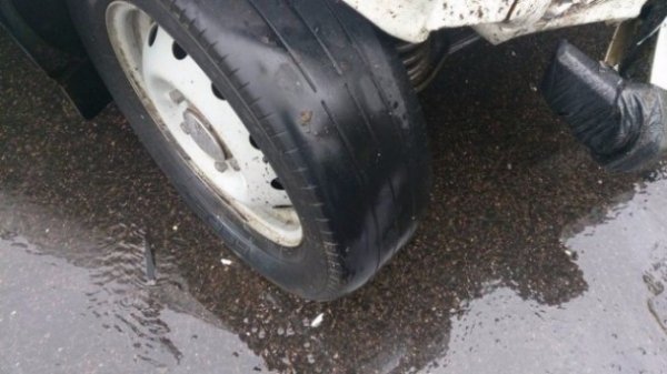 ДТП у Луцьку: від лобового зіткнення постраждало два авто. ФОТО