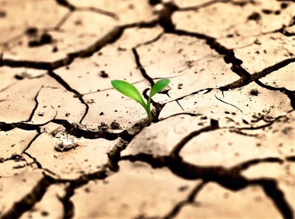 17 червня на Волині: гортаючи календар