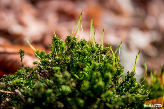 Перший день весни у «волинській Швейцарії». ФОТОРЕПОРТАЖ