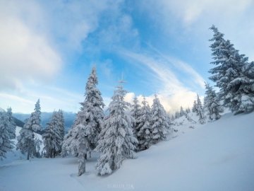 У Карпатах в горах загинули двоє туристів