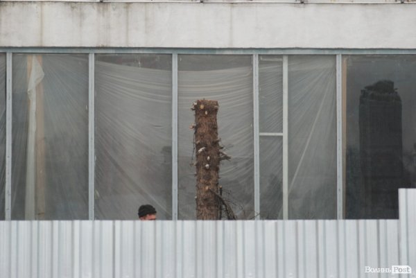 У Луцьку стартувала реконструкція «Променя»: зрізають ялинки. ФОТО. ВІДЕО. ДОКУМЕНТИ