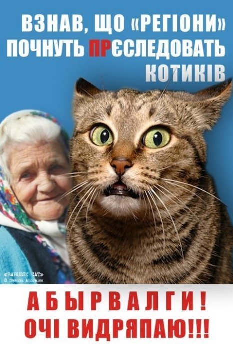 Бабуся і кіт: фотожабоманія триває. ФОТО