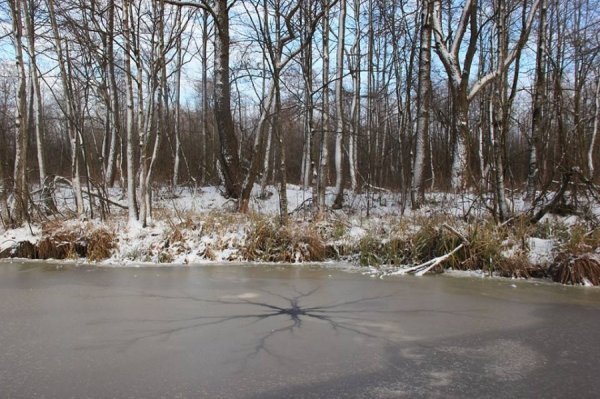 Красиві фото зими у волинському Поліссі 