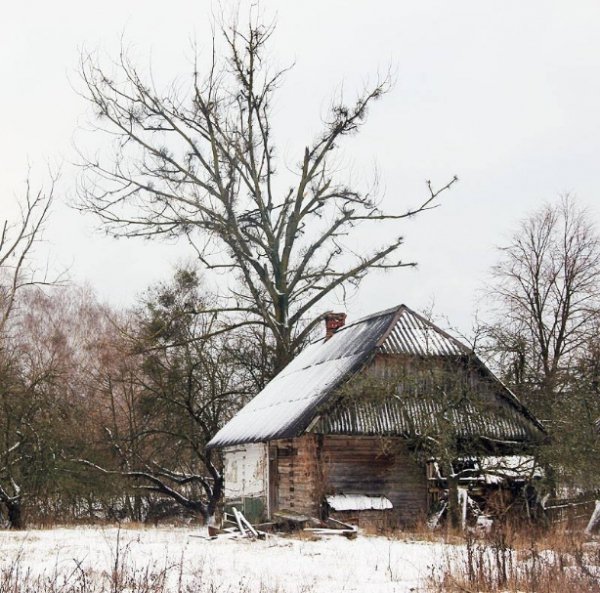 Красиві фото зими у волинському Поліссі 