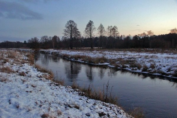 Красиві фото зими у волинському Поліссі 