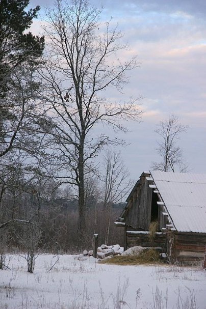 Красиві фото зими у волинському Поліссі 