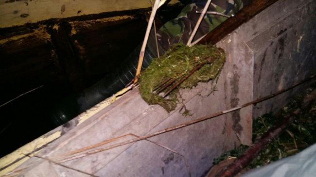 На Волині затримали браконьєрів, які ловили рибу з човна підсакою та острогою. ФОТО