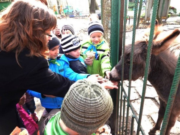 Луцький зоопарк готується до зими