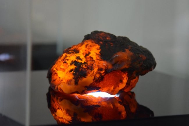 У Волиньраді – виставка бурштину, який згодом планують продати на аукціоні 