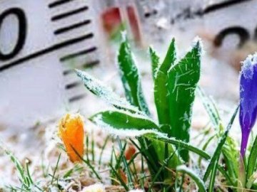 Волинян попереджають про сильні заморозки у найближчі дні