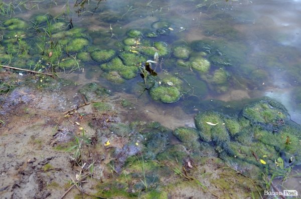 Пляж у Луцьку до купального сезону поки не готовий. ФОТО