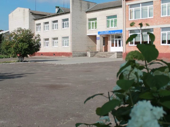 П'ять навчальних закладів Луцької громади стануть гімназіями