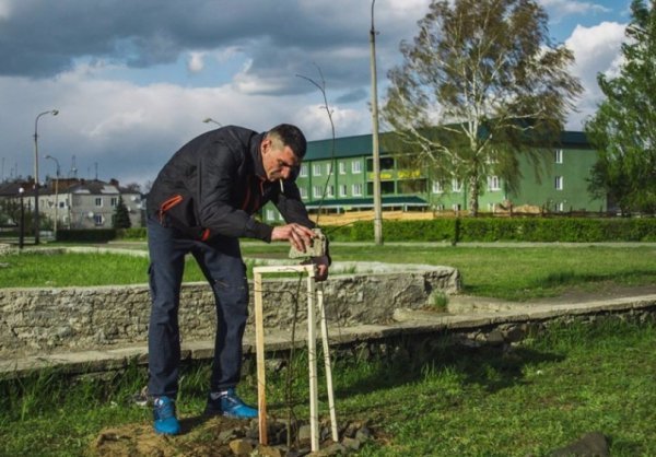 На Волині військові висадили липову алею. ФОТО