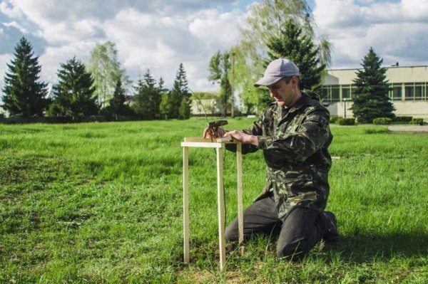 На Волині військові висадили липову алею. ФОТО